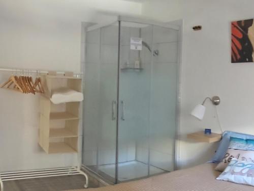 una ducha con puerta de cristal en una habitación en Casa Claudia 1 Primero Derecha, en Granadilla de Abona