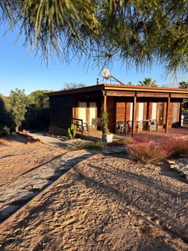 a house on the beach with a tree at Casa Madeira no Monte in Almancil