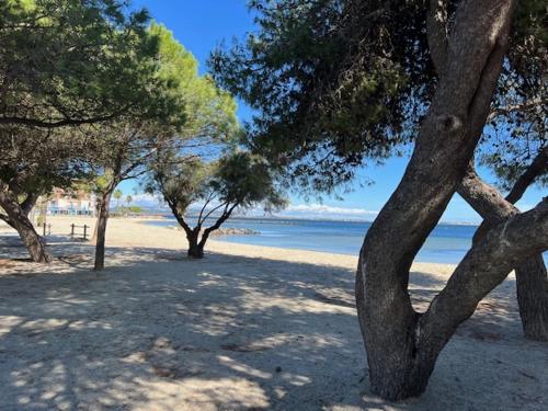 um grupo de árvores numa praia perto da água em LE MARIUS 2 PIECES 4 personnes Coeur de ville em Mèze