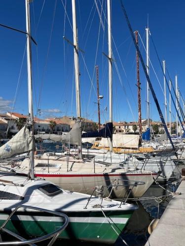 um grupo de barcos atracados em um porto em LE MARIUS 2 PIECES 4 personnes Coeur de ville em Mèze