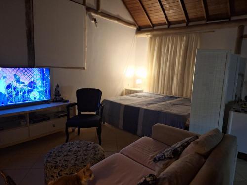 a living room with a couch and a television at Loft charmoso! in Água Boa