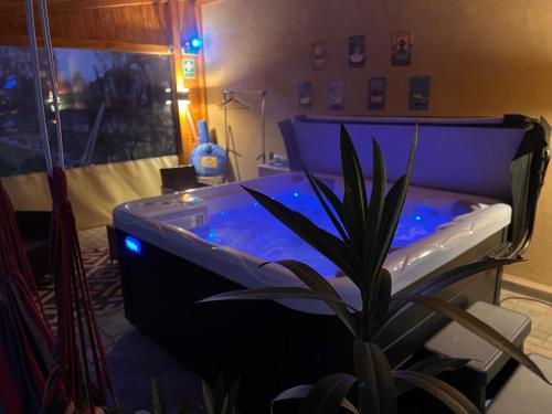 a bathroom with a tub with a plant in it at Bodza apartman 2 - Sarud in Sarud