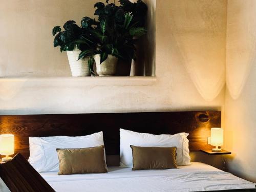 1 dormitorio con 1 cama con una planta encima en Hotel Casa Nudo, Ukax, Mérida, en Mérida