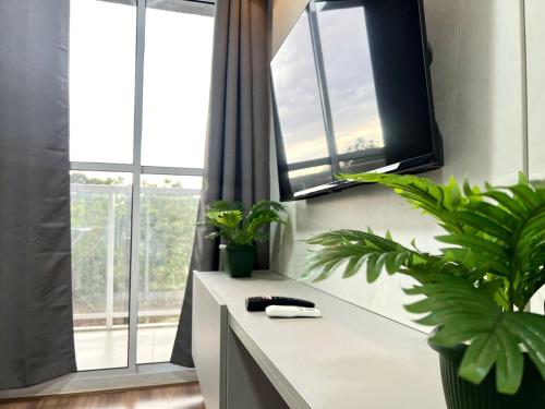 a kitchen with a counter with plants and windows at Apartamento Inteiro - 2 Quartos com AC - Wifi 1000mb - Piscina - 1 Vaga de Garagem - Elevador - Sacada Gourmet - Indicado para Grupos, Hospedes a Trabalho, Família e Pets in Toledo