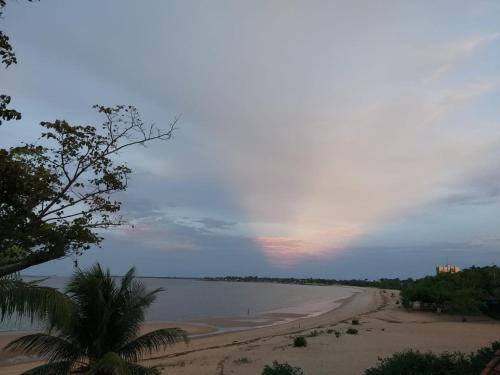 a beach with a palm tree and the ocean at Apartamento Beira Mar Ilha de Mosqueiro in Belém