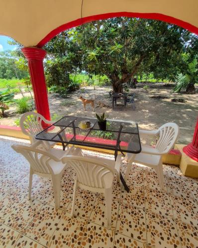 Taman di luar Sunshine Guesthouse Bafuloto
