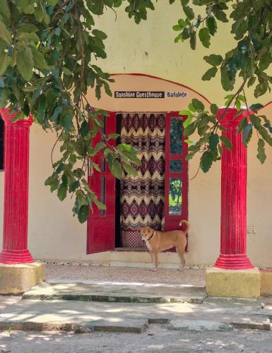 Gambar di galeri bagi Sunshine Guesthouse Bafuloto di Bafuloto