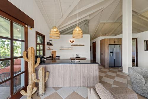 a kitchen and living room with a cactus at Blue Bay Villa's in Blue Bay