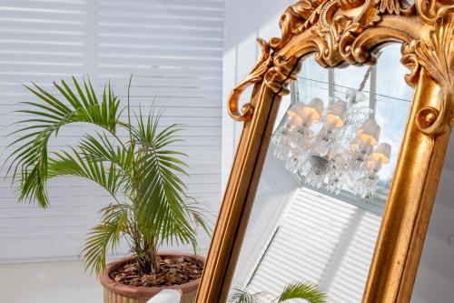 a mirror in front of a window with a plant at Villa do Vale Boutique Hotel in Blumenau