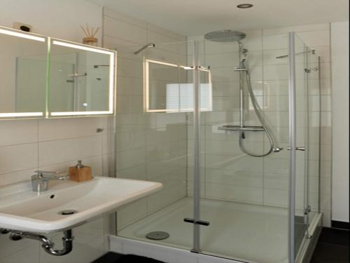 a bathroom with a glass shower and a sink at Haus Freigeist - zum Gartenblick in Neinstedt