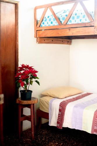 a bedroom with two beds and a potted plant on a table at Hostal Casa del Sol in Suchitoto