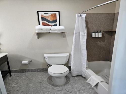 a bathroom with a toilet and a shower and a sink at Wyndham Lake Charles in Lake Charles