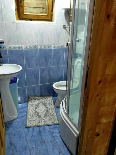 a bathroom with a shower and a sink and a toilet at Vikendica za odmor in Dobra Voda