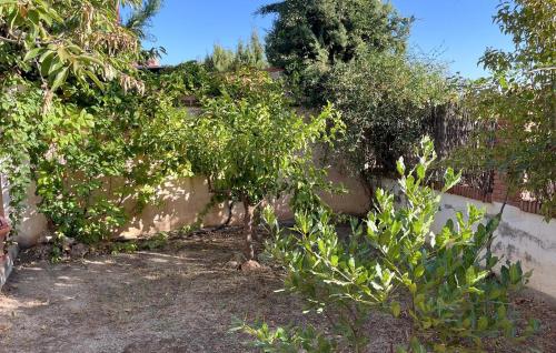 Zahrada ubytování Amazing Home In Otura With Private Swimming Pool, Can Be Inside Or Outside