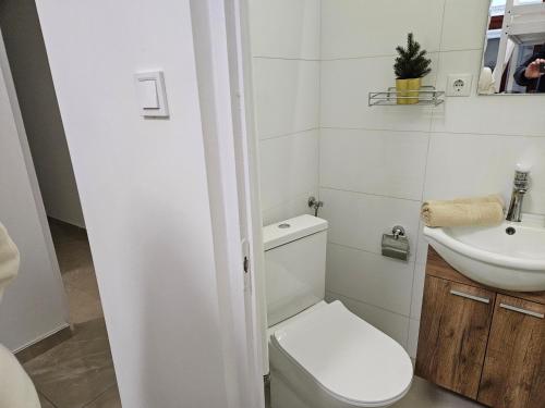 Liberty studio at Parliament