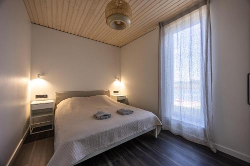 a bedroom with a bed and a large window at Lielpīles in Radziņciems