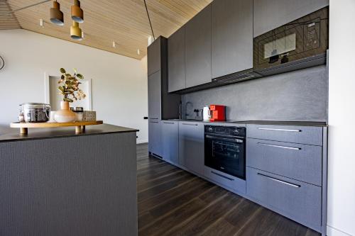 a kitchen with stainless steel appliances and wood floors at Lielpīles in Radziņciems