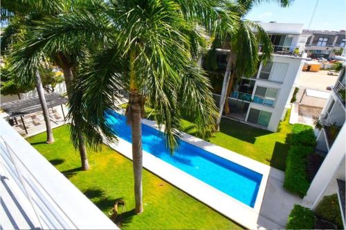 a palm tree in front of a swimming pool at Dominik luxury penthouse in Cancún