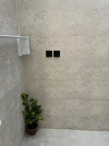 a bathroom with a shower and a potted plant at شقة أنيقة بغرفتين نوم - الطائف in Taif