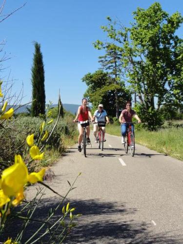 a group of people riding bikes down a road at Au Romarin in Cavaillon