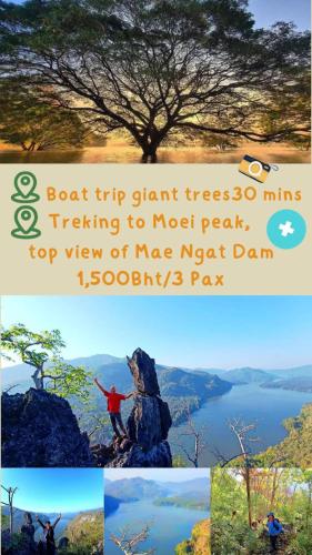 a collage of pictures of a tree on top of a mountain at Napahong Treehouse นาป่าฮง Andromeda & Cassiopeia in Ban Pa Ha