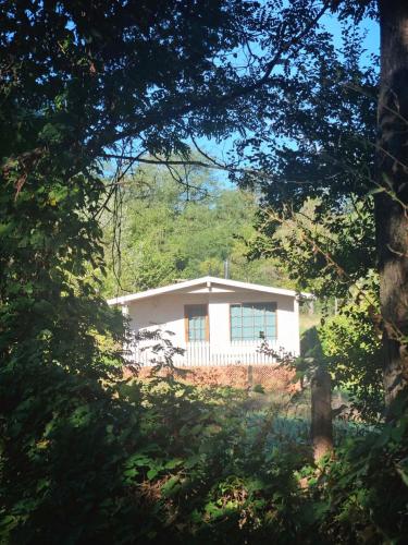 a white house in the middle of a forest at Căsuțele bucuriei in Pucioasa
