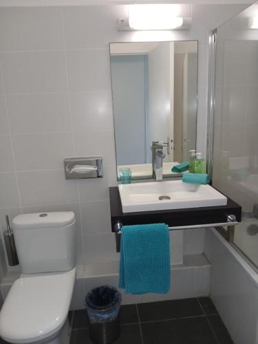 een badkamer met een toilet en een wastafel met een spiegel bij Studio Marina Blue in Saint-François