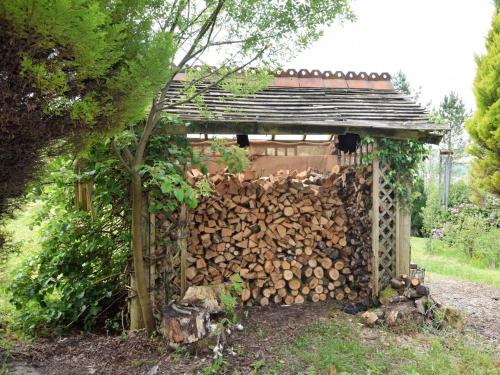 a pile of fire wood in front of a shed at 1 Bed in Aberdare 82906 in Merthyr Tydfil