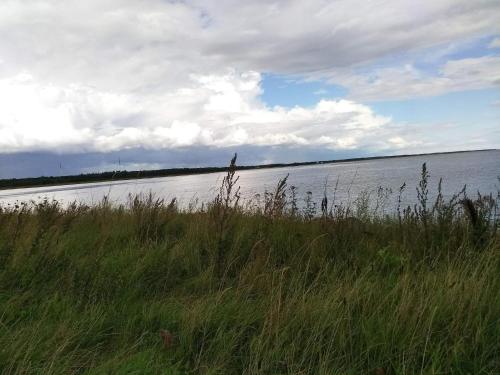 a large body of water with tall grass next to it at 6 person holiday home in Asaa-By Traum in Aså