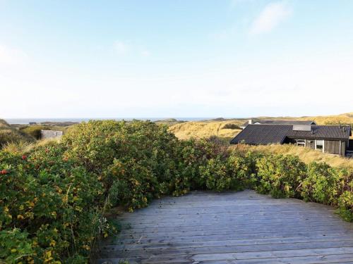 a path through a field of orange bushes at 9 person holiday home in Saltum in Saltum