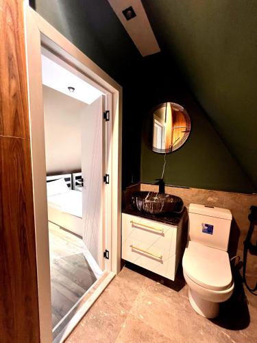 a bathroom with a toilet and a sink at AFrame Villa Riverside GABALA in Gabala
