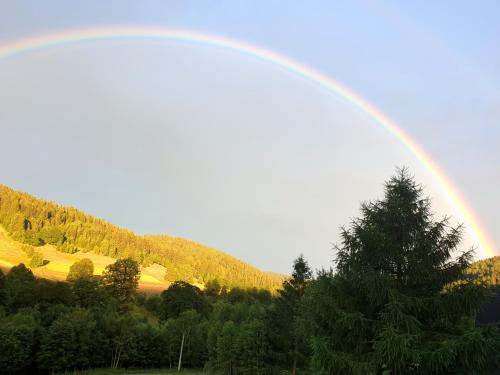 a rainbow in the sky with a tree at Chata pod Śnieżnikiem in Nowa Morawa