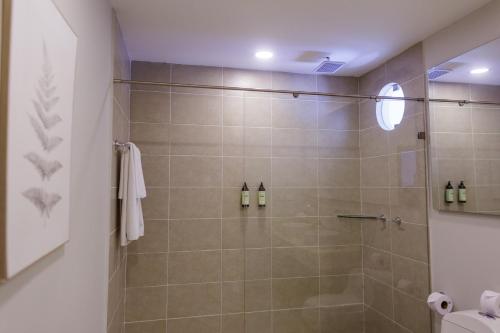 a bathroom with a shower with a glass door at Hotel Santa Cecilia B&B in Cartagena de Indias