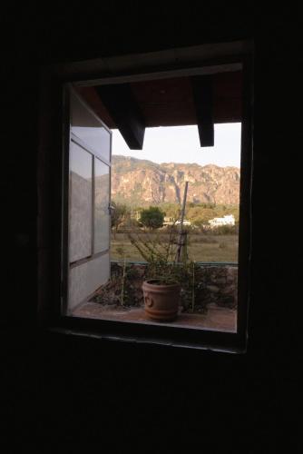 a window in a room with a potted plant at Villas Mexiko in Tepoztlán