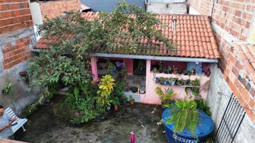 an overhead view of a house with a bunch of plants at Morada das Plantas in Mucugê