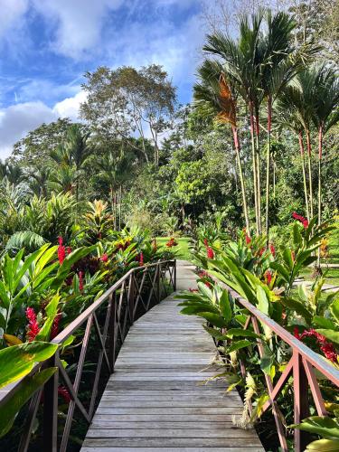 a wooden bridge in a garden with flowers and trees at La Fortuna Natural Green in Fortuna