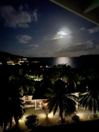 a full moon over the ocean with palm trees at Vashays Caribbean Hideaway in Freetown Village
