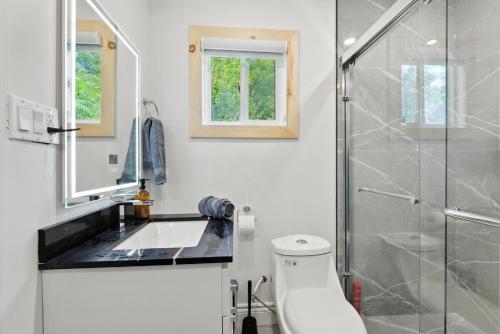 ein Badezimmer mit Toilette, Waschbecken und Dusche in der Unterkunft Cozy Cottage Retreat Private 2 Acres, Near Lake in Harcourt