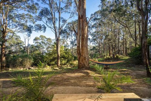a hammock tied to a tree in a forest at Jumbuk Retreat by Tiny Away 