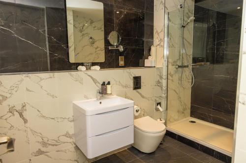 a bathroom with a sink and a toilet and a shower at Dover Marina Hotel & Spa, Tapestry Collection by Hilton in Dover