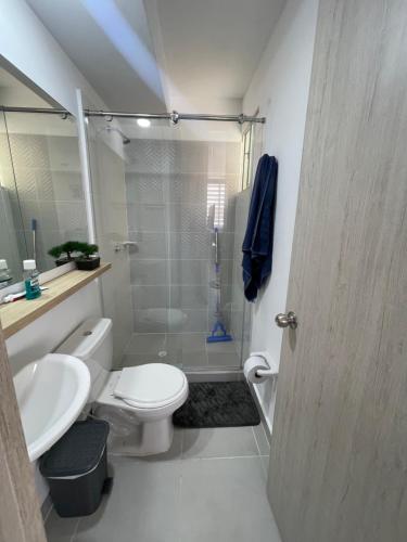 バジェドゥパルにあるApartamento NIZAのシャワー、トイレ、洗面台を備えたバスルーム