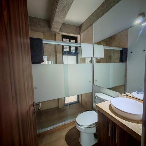 a bathroom with a toilet and a sink at Brick Box Loft con Balcon in Hércules