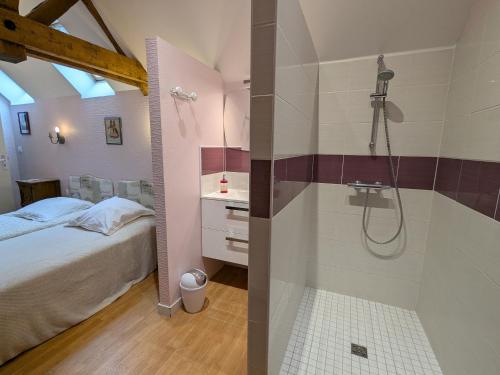 un bagno con doccia e un letto in una stanza di Maison rénovée près d'Orléans avec animaux admis - FR-1-590-583 a Vennecy