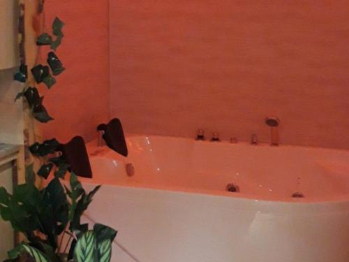 a bath tub in a bathroom with a plant at Mobil-home confortable avec terrasse à Sournia - API-1-52-358 in Sournia