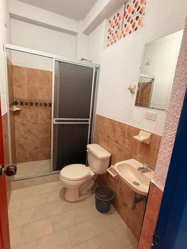 a bathroom with a toilet and a shower and a sink at Finca hotel villa Román in Montenegro