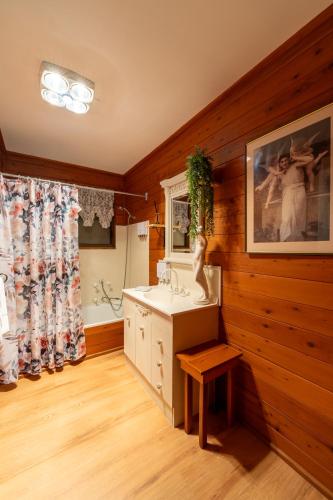 a bathroom with a sink and a mirror at Sabo’s On Severn in Fletcher