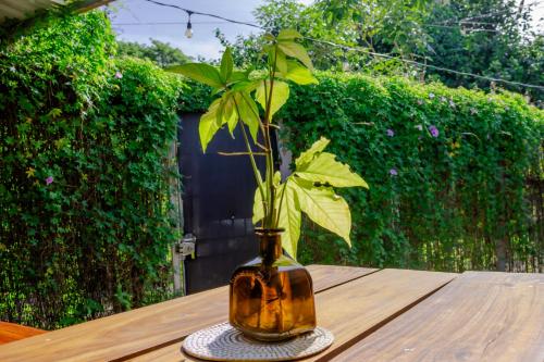 a vase sitting on a table with a plant in it at The Backside House -women only- in Tamarindo