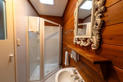 a bathroom with a shower and a sink and a mirror at Sabo’s On Severn in Fletcher