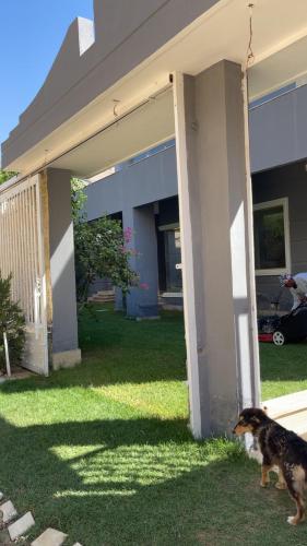 Питомец или питомцы в Villa Hossam