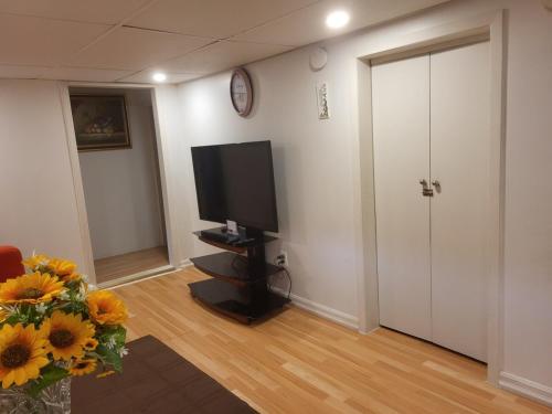 a living room with a television and a vase of flowers at 75 inch high mud house with separate entrance and exit, one bedroom, one living room, private bathroom, there is a cute cat, a few minutes walk to many restaurants, 8 minutes drive to the big waterfall in Niagara Falls